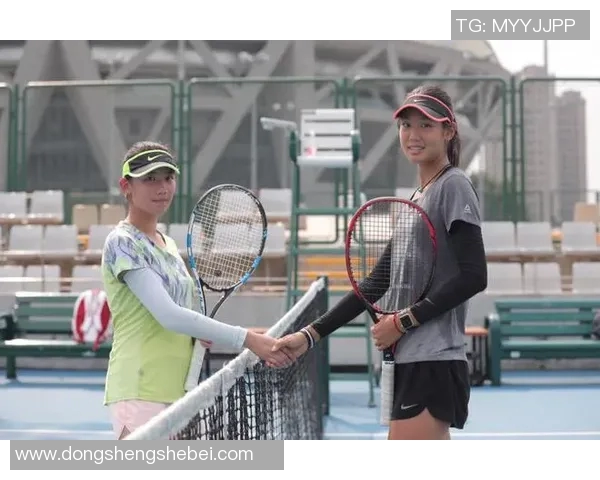 西安网球队引领最新网球意识TOP10榜单，展现卓越实力与潜力实时数据